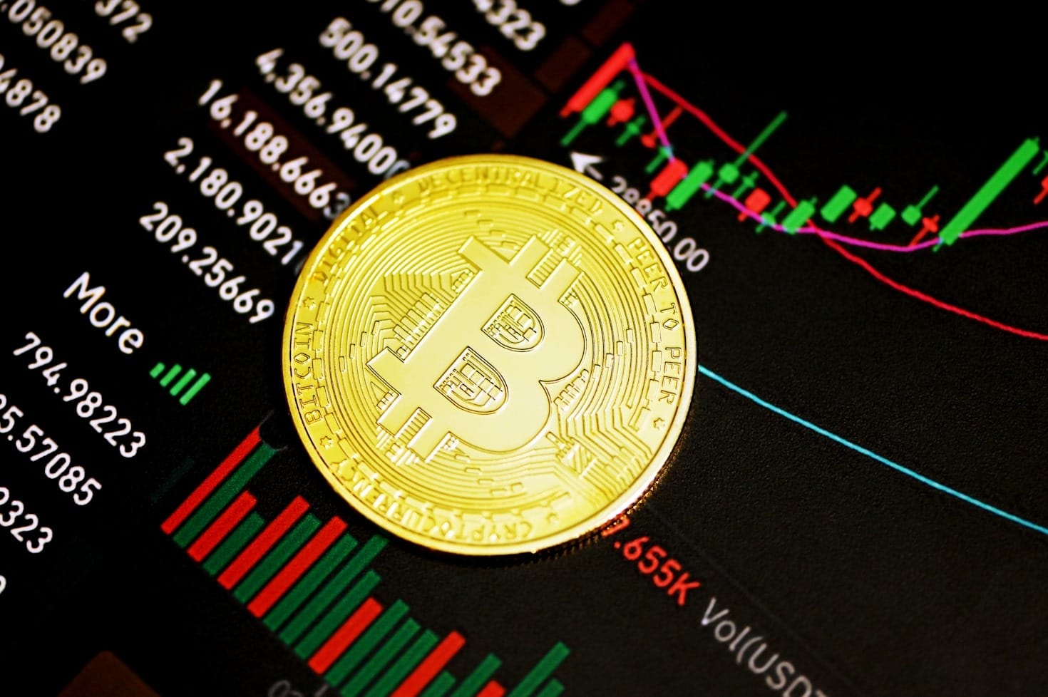 Building an Independent Future with Y.N. Coin